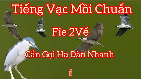 Tiếng Vạc Mồi,Tiếng Vạc Kêu Cắn Gọi Bầy Chuẩn Fie Hai Vế.