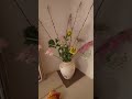 ピュアフラワーお花の定期便