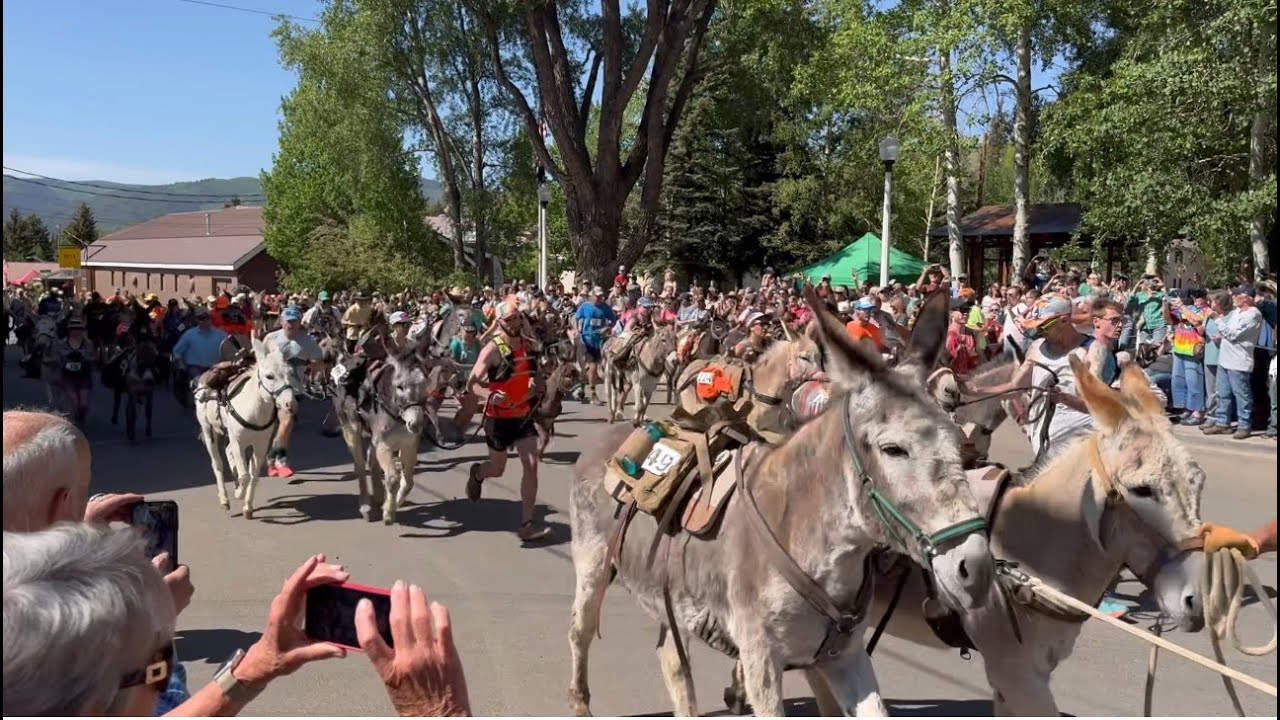 Creede Colorado Donkey Dash 2024 - YouTube
