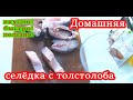 Самая вкуснейшая Селёдка из толстолоба (домашняя). Всё быстро, вкусно и просто ! (2021г.)