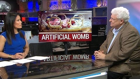 Artificial wombs could increase premature babies