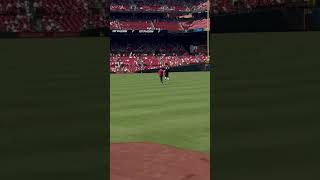 Brother In Law Runs Onto Field