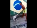 בלבלה תראו איך הכלב שר בלבלהההההההה של מוטי טקה בלבלה תראו איך הכלב שר בלבלהההההההה של מוטי טקה