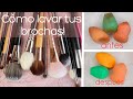 Como lavar las brochas  y esponjas de maquillaje | MICH