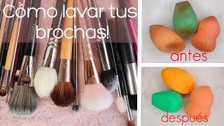 Cómo limpiar brochas y esponjas de maquillaje? - Blog de Worten