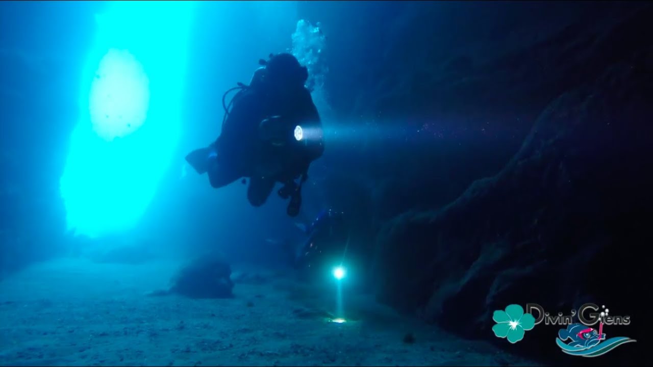 DECOUVREZ DIVINGIENS - VOTRE CLUB DE PLONGÉE A GIENS - HYERES