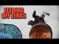 FEEDING OFF ZERGS with MY NAIL GUN | Rust Solo Survival (1 of 4)