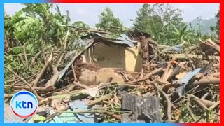 Family wiped out after giant tree falls during storm in Kisumu