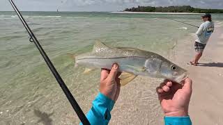 Epic Naples Fishing Trip! Catching Snook & Jack Crevalle