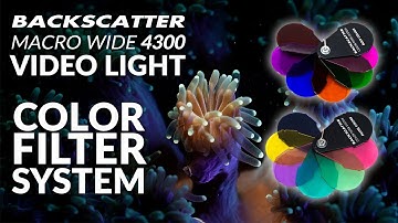 Backscatter Color Filter System Underwater Video Test Footage