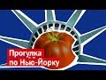 Нью-Йорк: жилье Трампа, мода и детские площадки