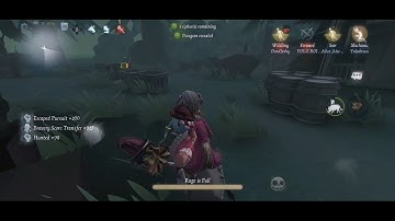 Hacker in ranked.  :) great. Identity v.
