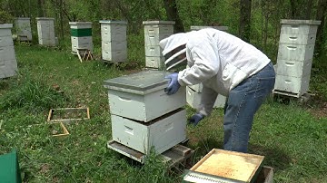 NWNJBA Video Short - Walk Away Split