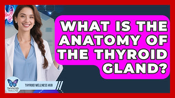 What Is The Anatomy Of The Thyroid Gland? - Thyroid Wellness Hub