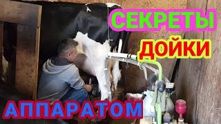 ТЕХНИКА ДОЕНИЯ КОРОВЫ ДОИЛЬНЫМ АППАРАТОМ МОЛОКО КОМБИКОРМ ТЕХНИКА ДОЕНИЯ КОРОВЫ ДОИЛЬНЫМ АППАРАТОМ МОЛОКО КОМБИКОРМ