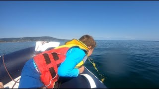 Boat trip ends in disaster - seasickness hits!