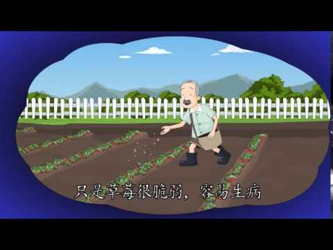 心靈環保兒童生活教育動畫2-16 食物的味道