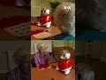Robots for elderly care