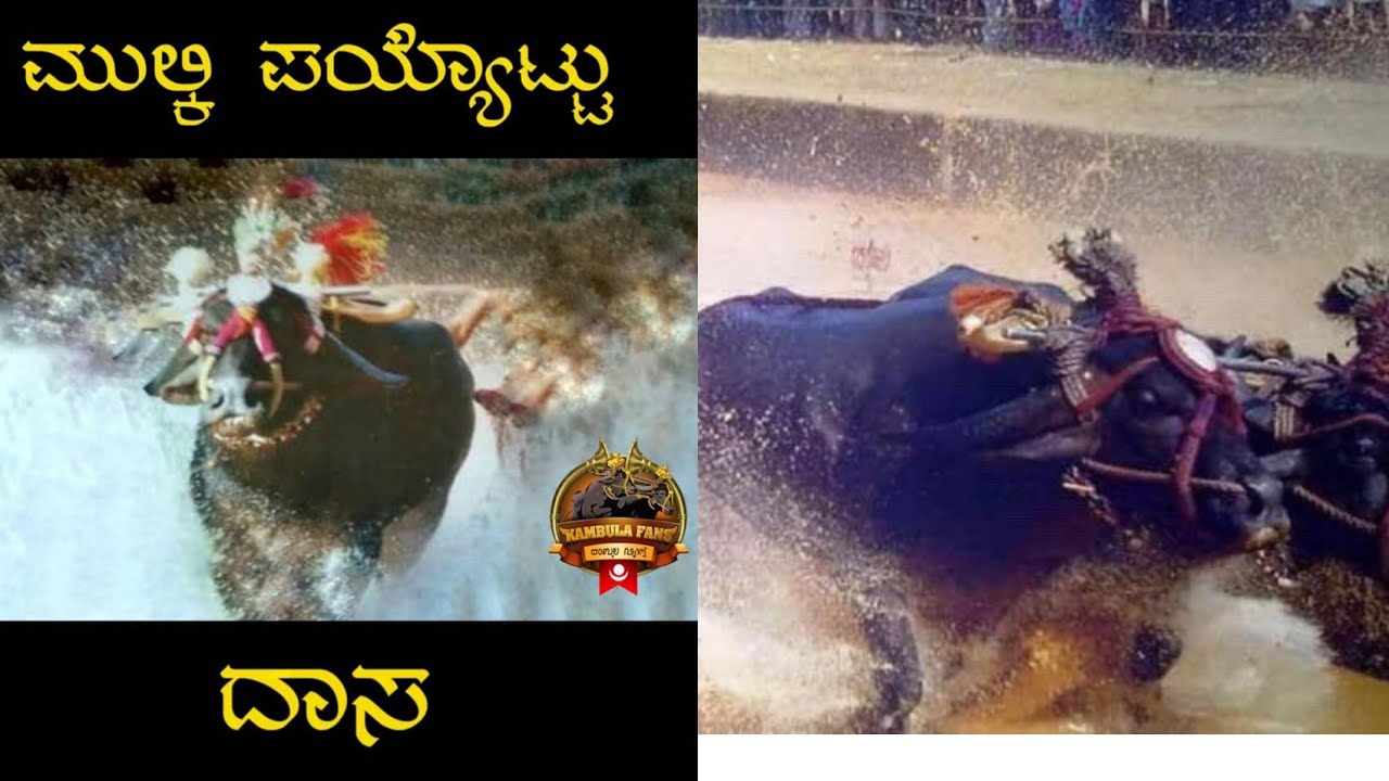 KAMBALA - LIFE JOURNEY OF PAYYOTTU DASA | ಕಂಬಳ ಜೀವನ ಮುಲ್ಕಿ ಪಯ್ಯೋಟ್ಟು ದಾಸ |