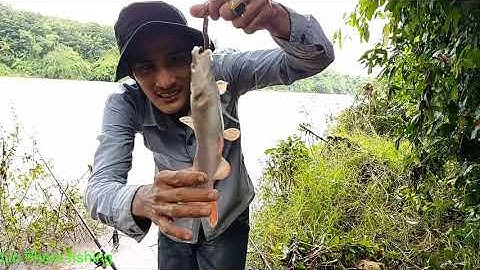 CÂU CÁ LĂNG Ở HÀN TAM ĐẲNG VÀO MÙA NƯỚC NỔI