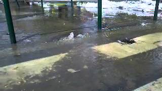 Batthyány Tér Lezárás Előtti Pillanatok