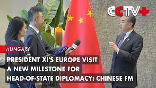 President Xi's Europe Visit a New Milestone for HeadofState Diplomacy: Chinese FM