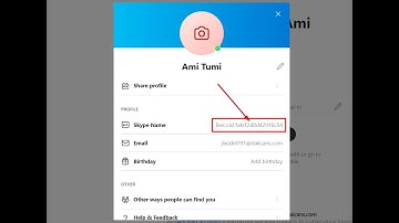 How To Change Skype Fake Username Instantly 2022 - Bangla Tutorial