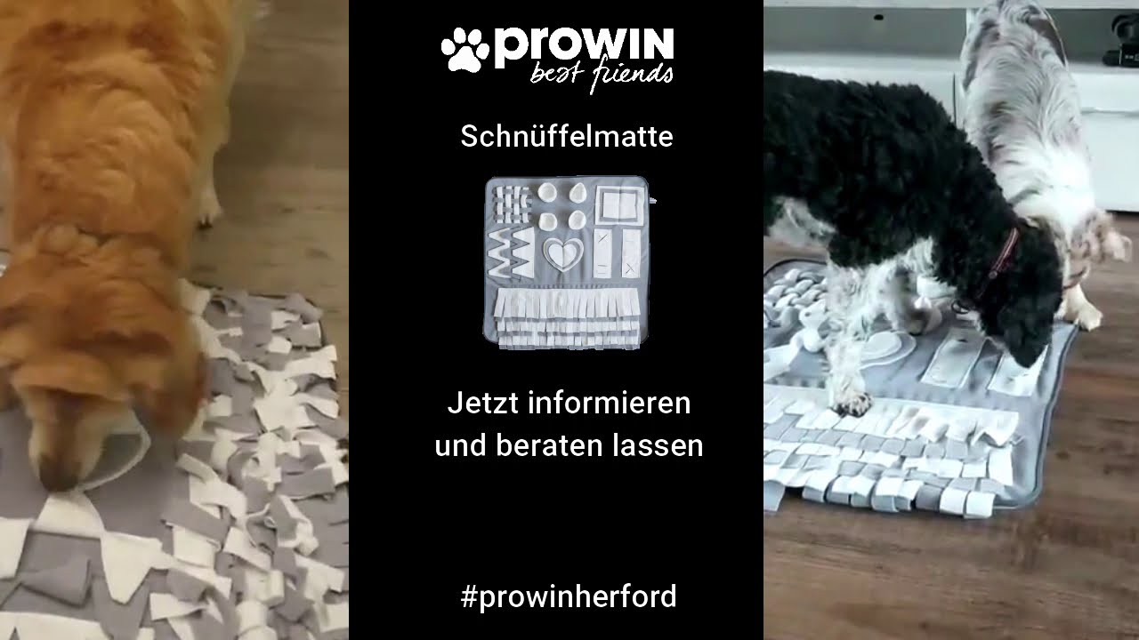 Mewoo Schnüffelmatte Für Hunde Größe L | 101,6x70,1 Cm | Mit Quietschelement | Zur Beschäftigung & Gegen Langeweile