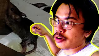 Vlog Raw Huli Ka Boy