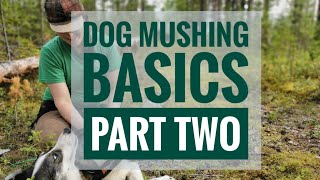 DOG MUSHING BASICS PART TWO: Teach your dog to run or bike
