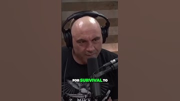 The Future of Survival  Achieving Symbiotic Existence with AI  #podcast #elonmusk #ai #shorts