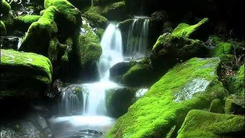 سورة التكاثر | ادريس ابكر HD