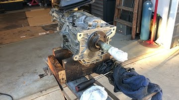 S10 T5 identifying features