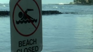 Raw: Famous Hawaii Beach Closed Due To Sewage