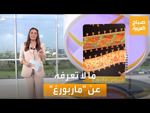 صباح العربية أعراضه تشبه الحمى معلومات عن فيروس ماربورغ الذي يقلق العالم