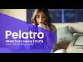 Pelatro solutions pvt ltd hiring for junior implementation specialist and support consultant  5 lpa