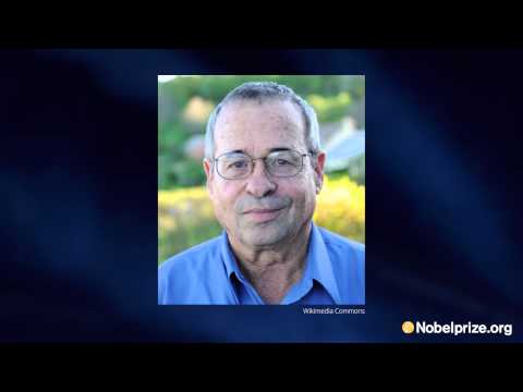 Interview: Arieh Warshel,