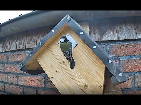 Nistkasten 2 Außen Heide DE, Birdbox 2 Outside Germany, Day 09.10.2026