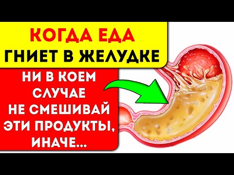 Пока один переваривается, другой гниет! Несовместимые продукты, раздельное питание и...