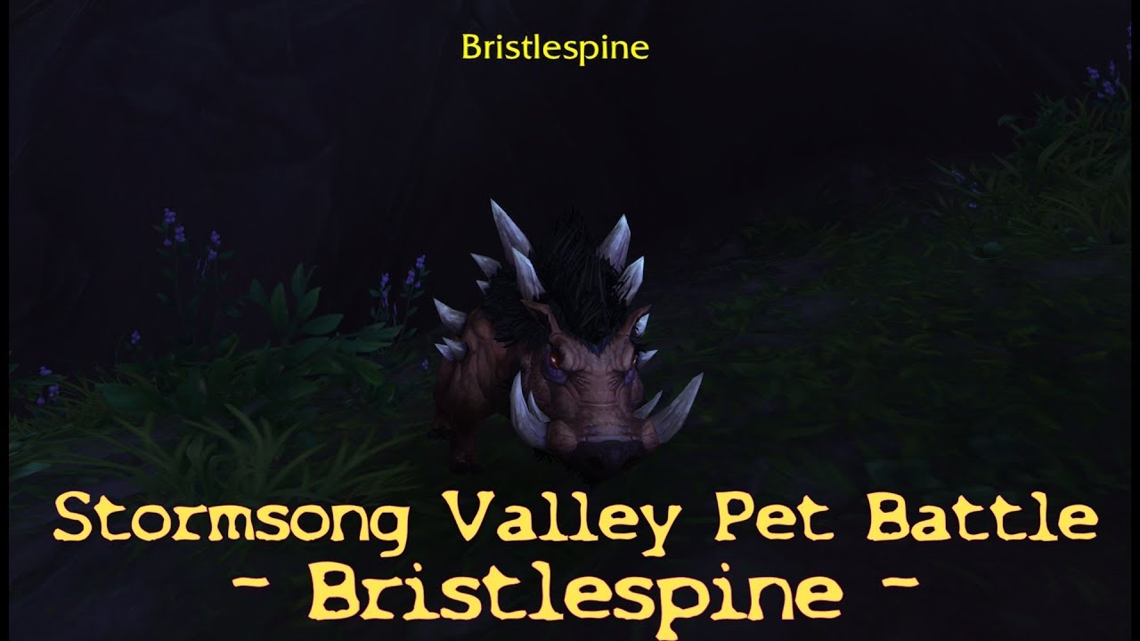 WoW Battle for Azeroth Pet Battle Stormsong Valley Bristlespine YouTube