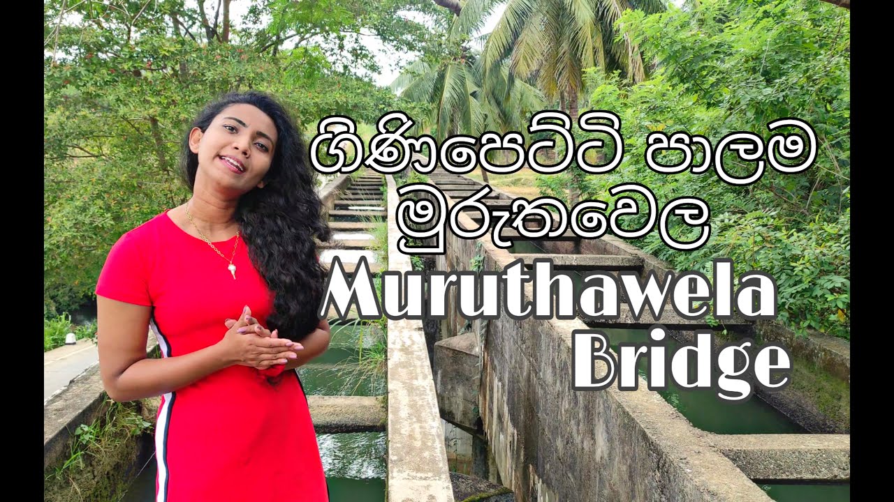 Ginipetti Palama Muruthawela #travel#Srilanka#Muruthawela#Srilankabeautifulplaces#TravelSrilanka