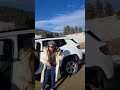 Spot Elk in Colorado