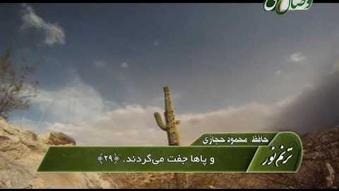 ترنم نور - حافظ محمود حجازی - سوره القیامه آیات 20 الی 40