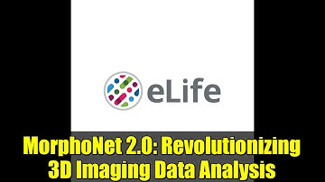 MorphoNet 2.0: Revolutionizing 3D Imaging Data Analysis