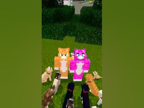 КОТИКИ #minecraft #майнкрафт #shorts #кот #коты #котики - YouTube