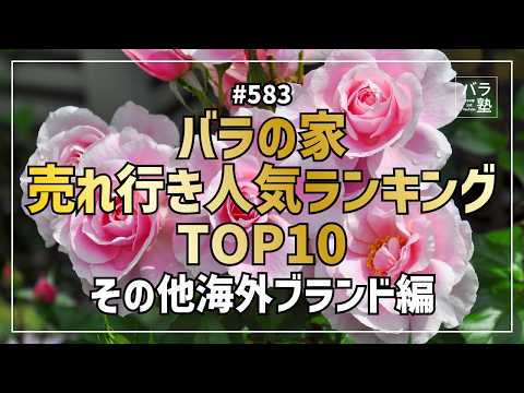 583 バラの家 売れ行き人気ランキングTOP10 国外ブランド編 - YouTube
