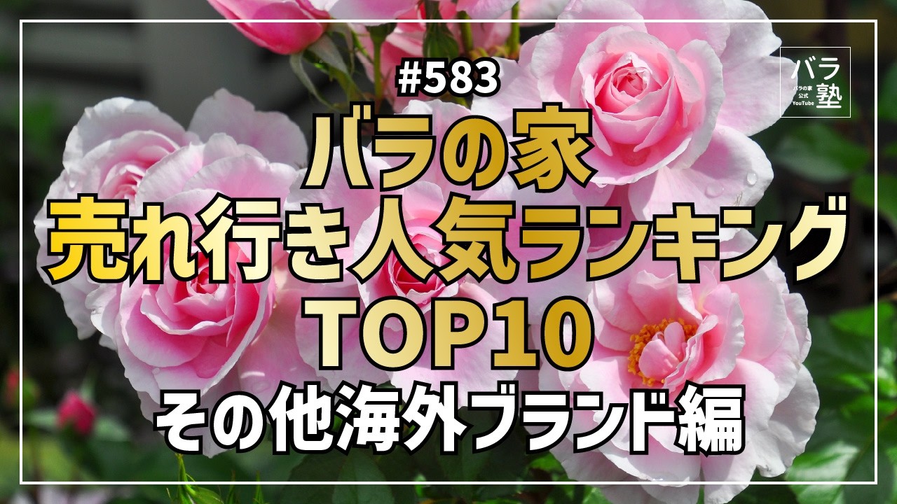 #583 バラの家 売れ行き人気ランキングTOP10 国外ブランド編