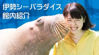 ] Ise Sea Paradise -In-house Video