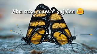 Story wa baper -souqi-ikhlasku mencintaimu-