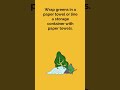 How to Store Salad Green #shorts